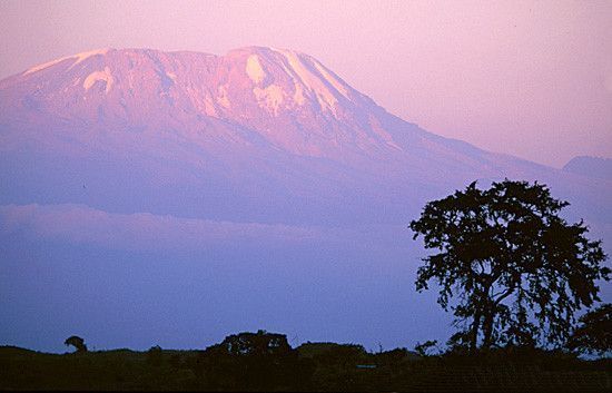 LE KILIMANDJARO